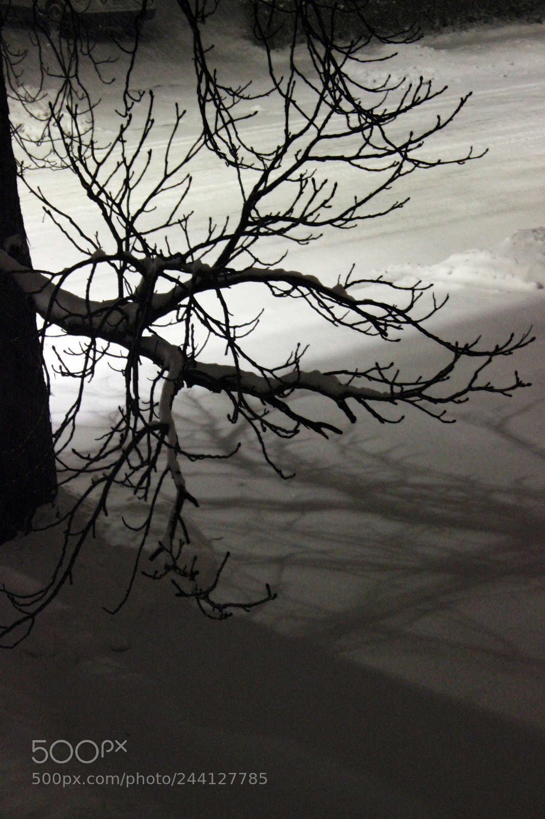 Canon EOS 600D (Rebel EOS T3i / EOS Kiss X5) sample photo. Winter time in ontario photography