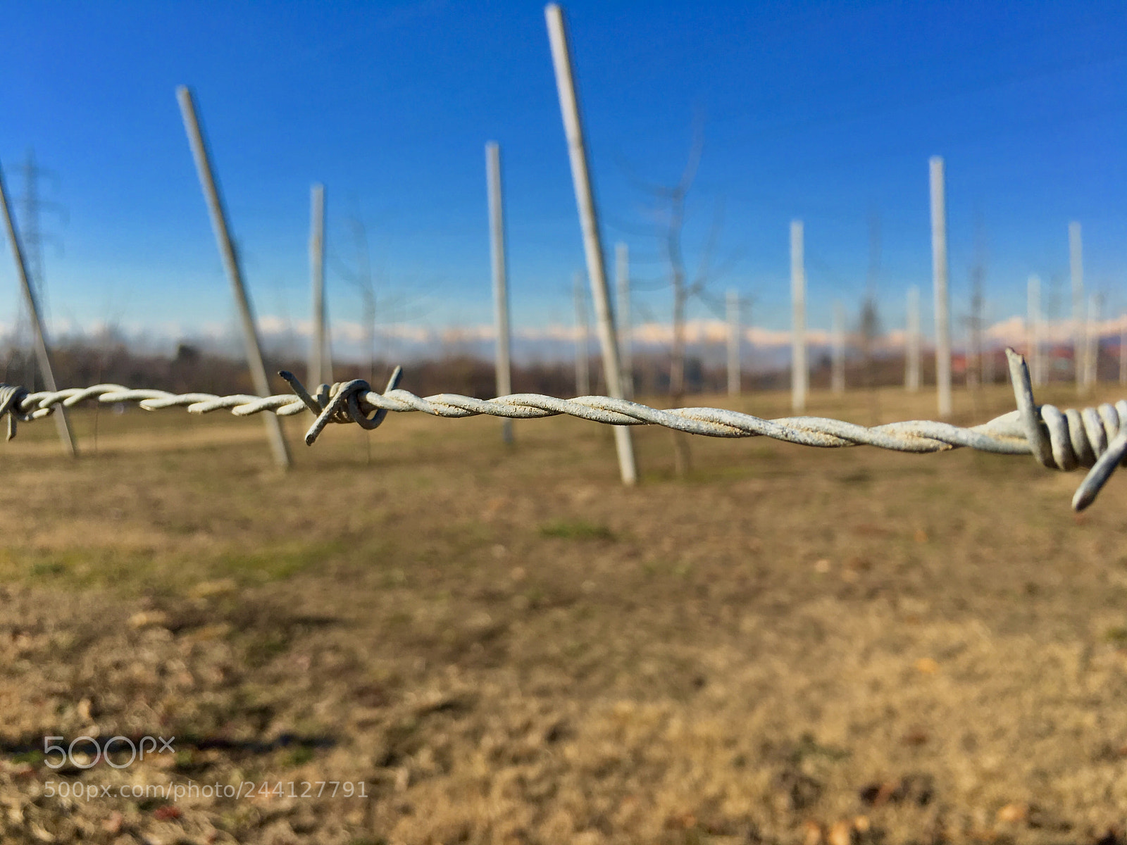 Apple iPhone 6s sample photo. Untitled photography