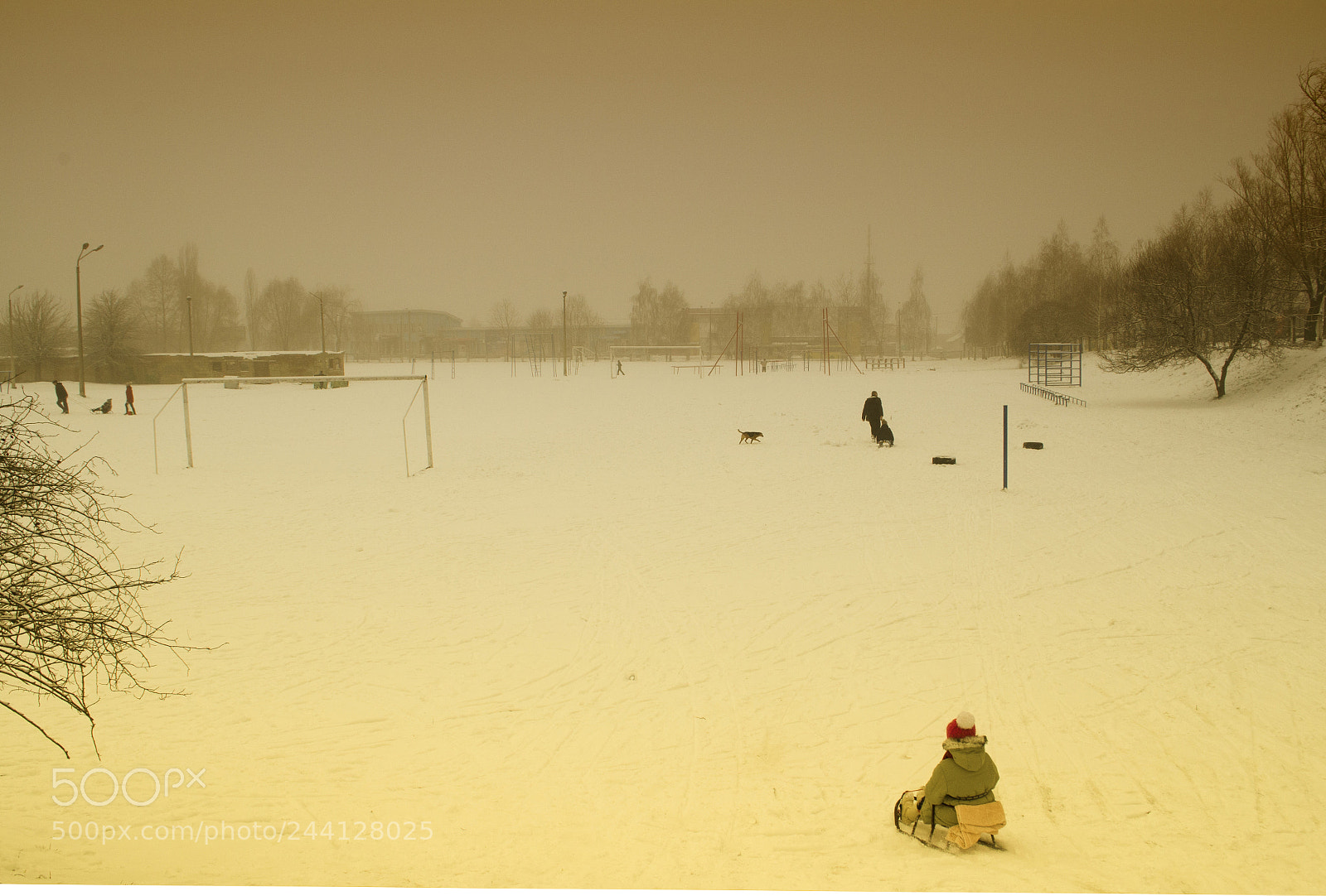 Nikon D5100 sample photo. Winter photography