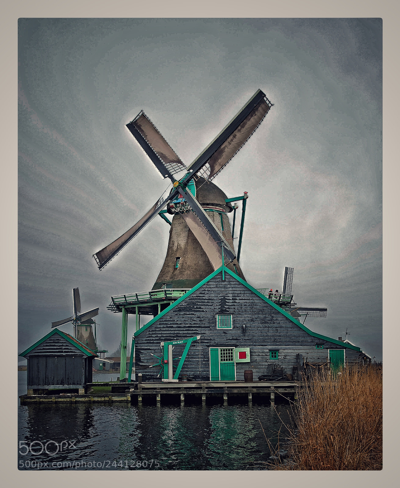 Canon EOS-1D X Mark II sample photo. It was during winter photography