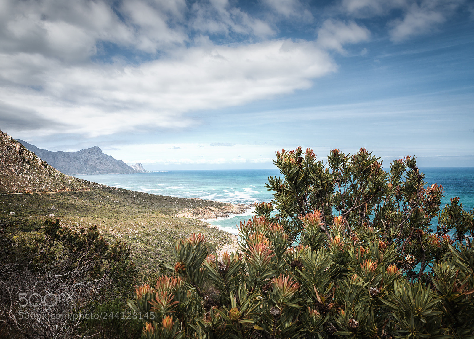 Nikon D800 sample photo. Wild coast photography
