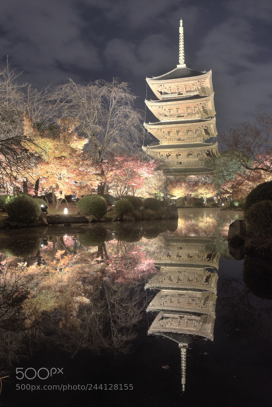 Nikon D5500 sample photo. 東寺 photography