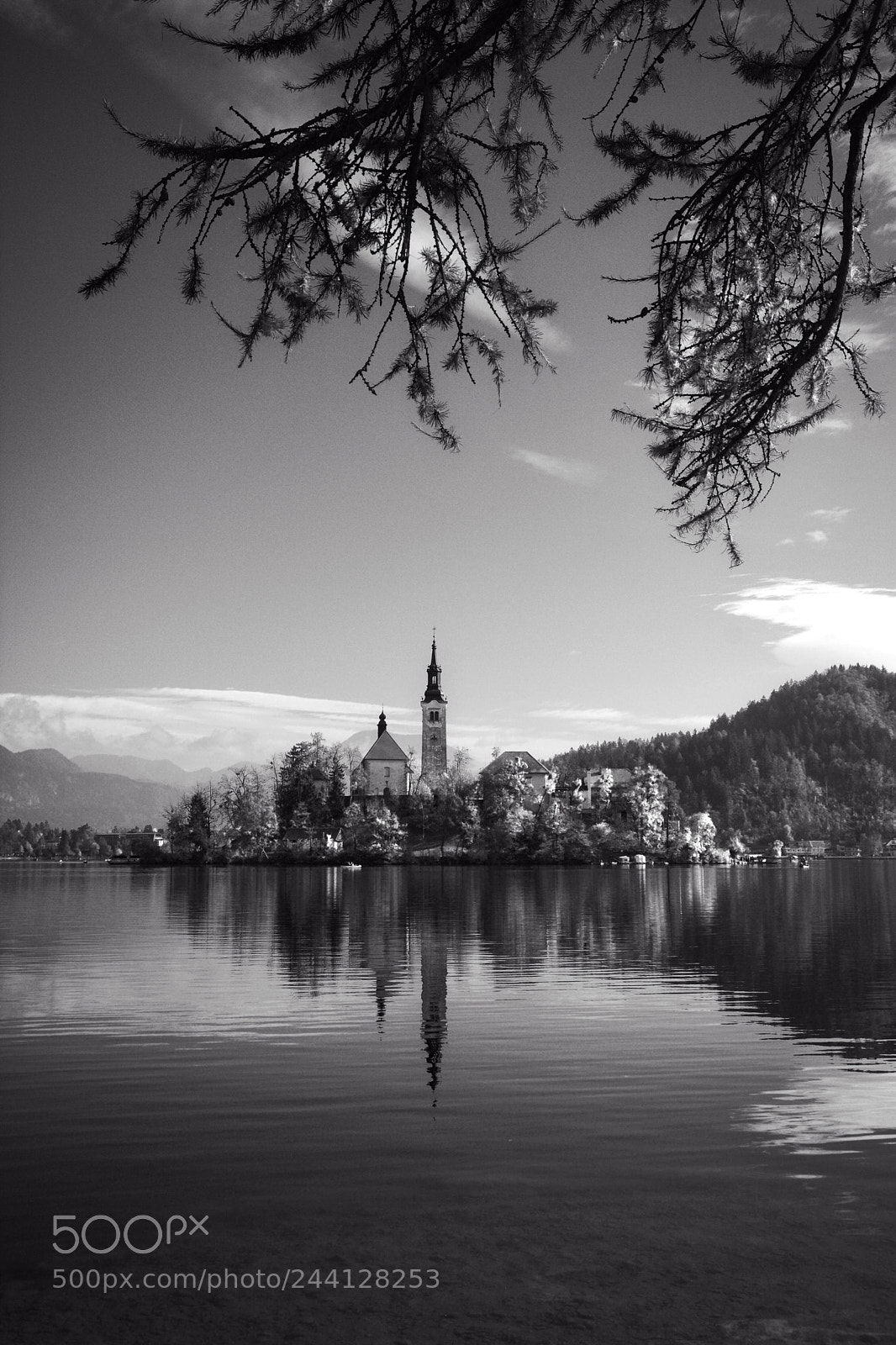Nikon D7100 sample photo. Bled photography