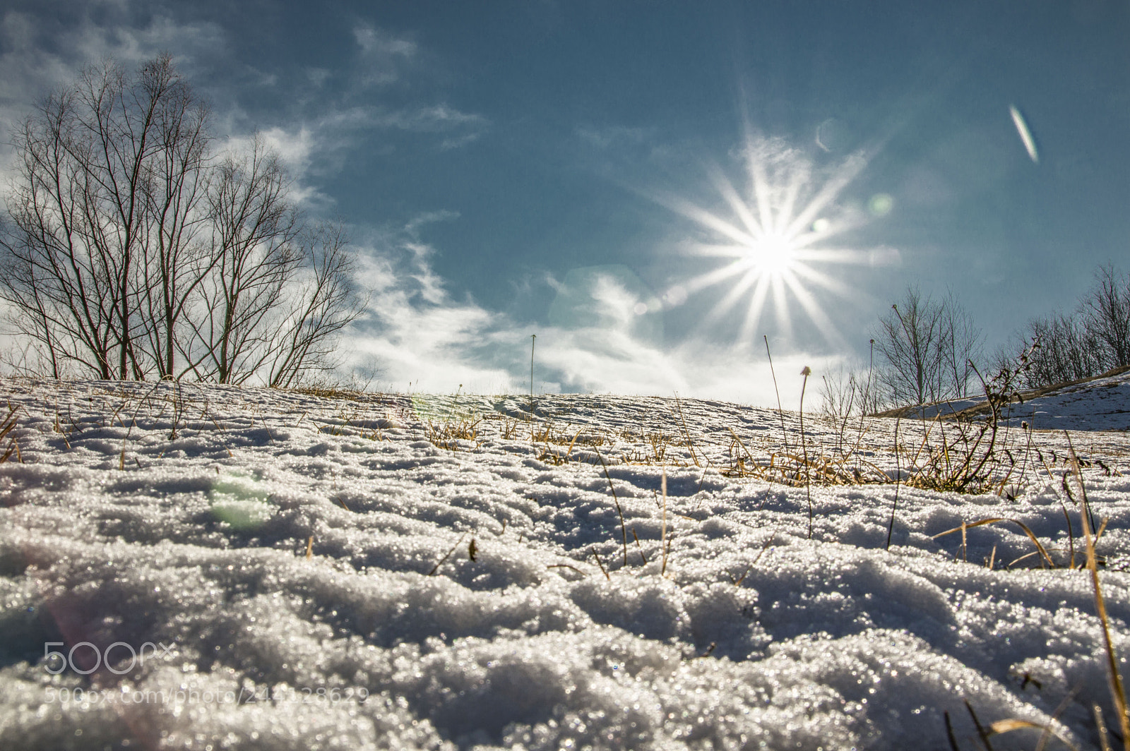 Nikon D3200 sample photo. Sunnyday photography