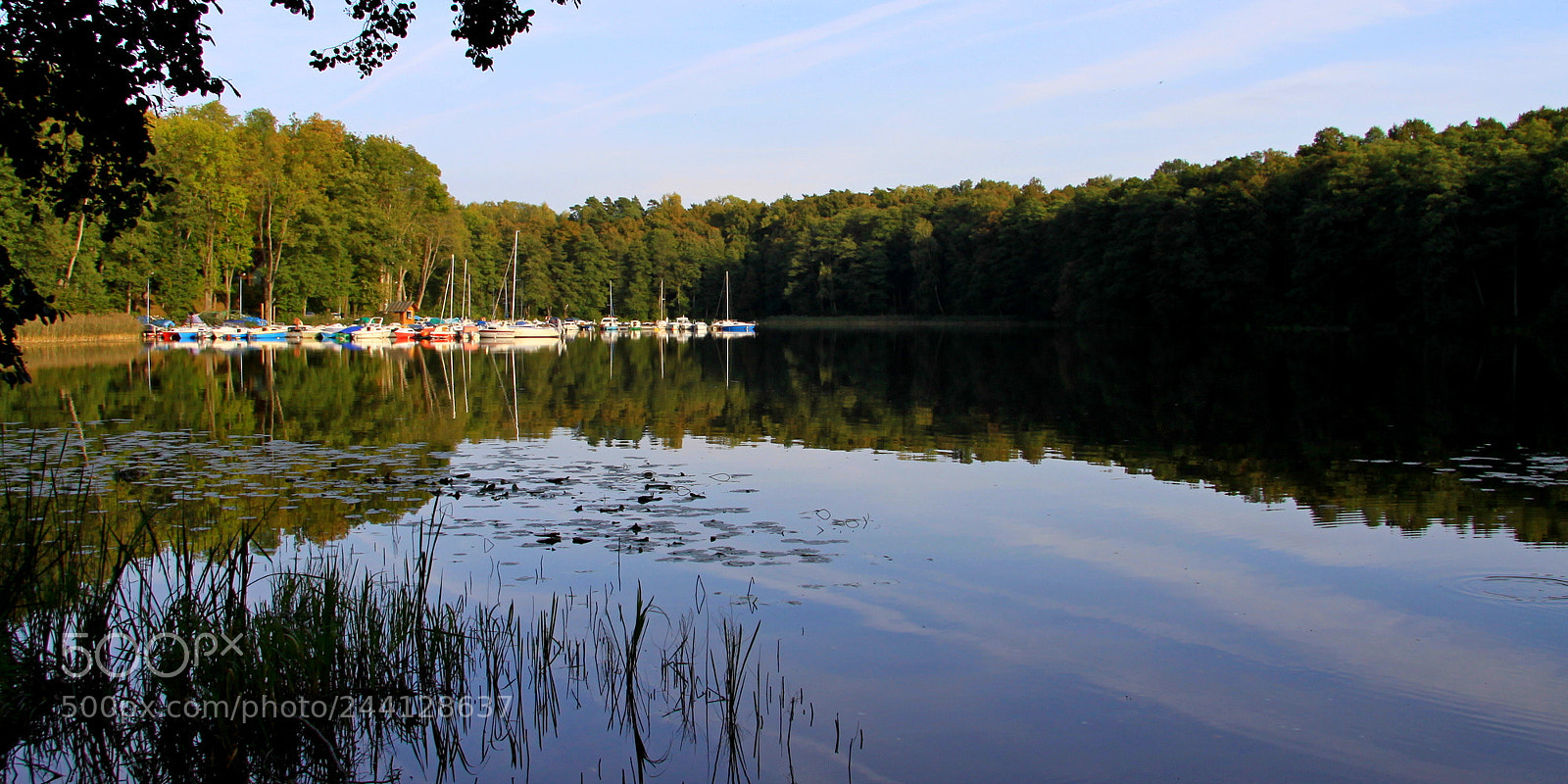 Canon EOS 50D sample photo. Marine photography