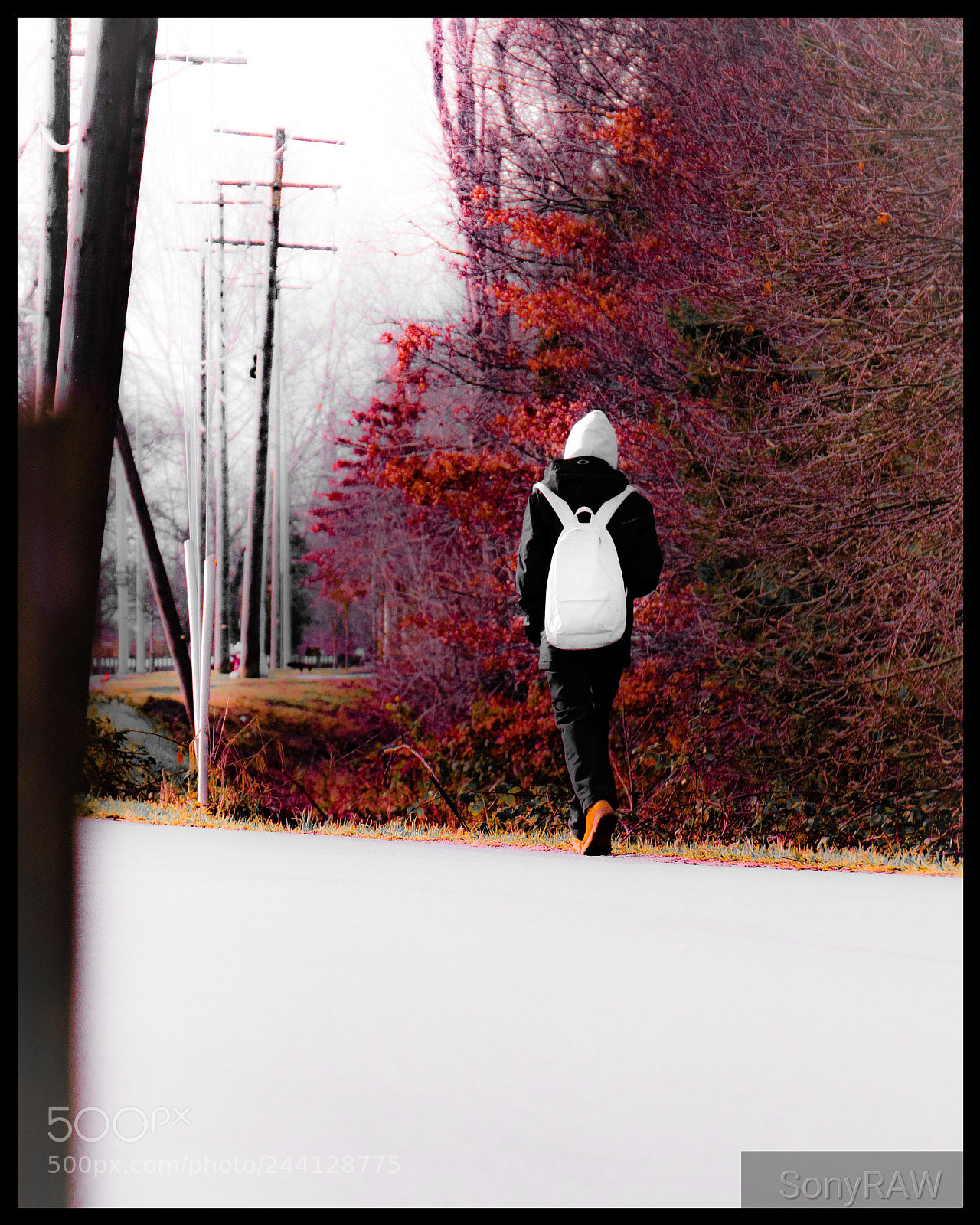 Sony a6500 sample photo. Cold autumn photography