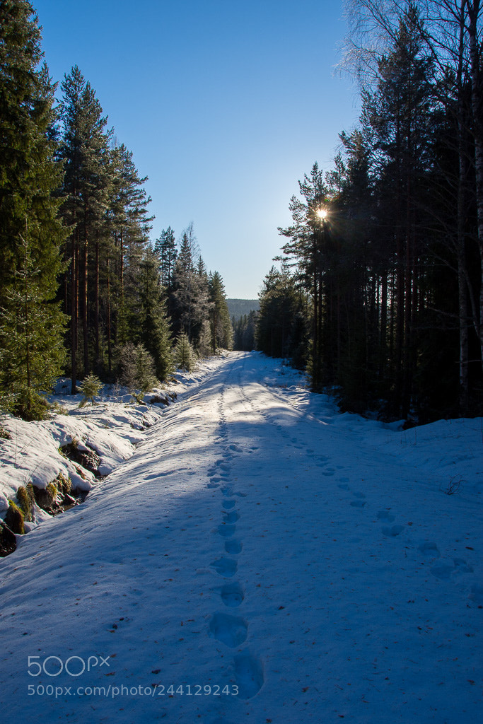 Nikon D7200 sample photo. Tracks of homo sapiens photography