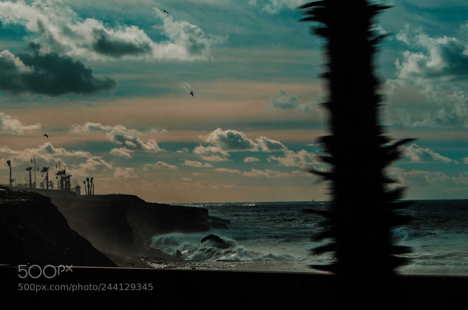 Nikon D5100 sample photo. Ocean photography