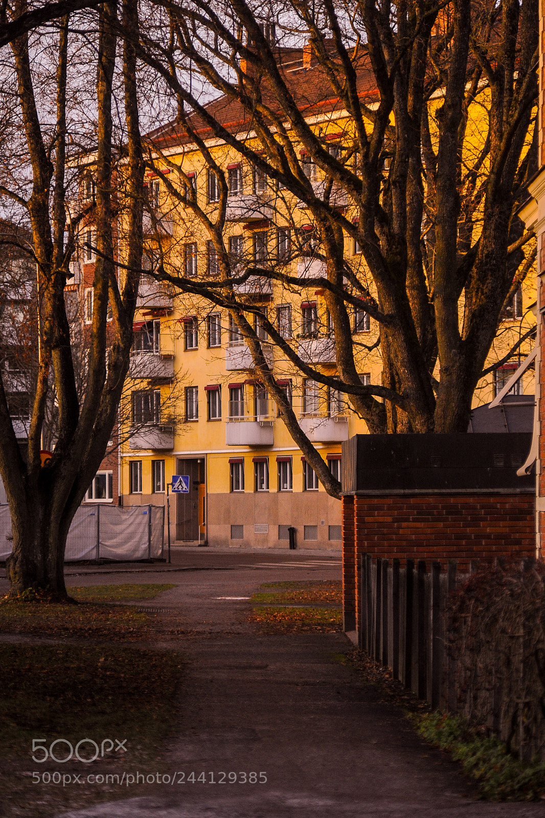 Nikon D700 sample photo. A walk path to photography
