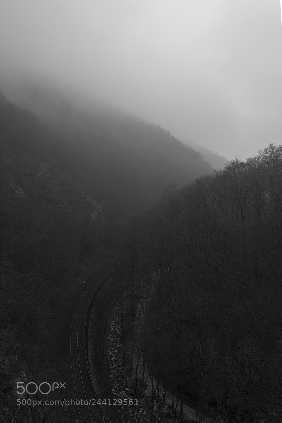 Canon EOS 7D Mark II sample photo. Way photography
