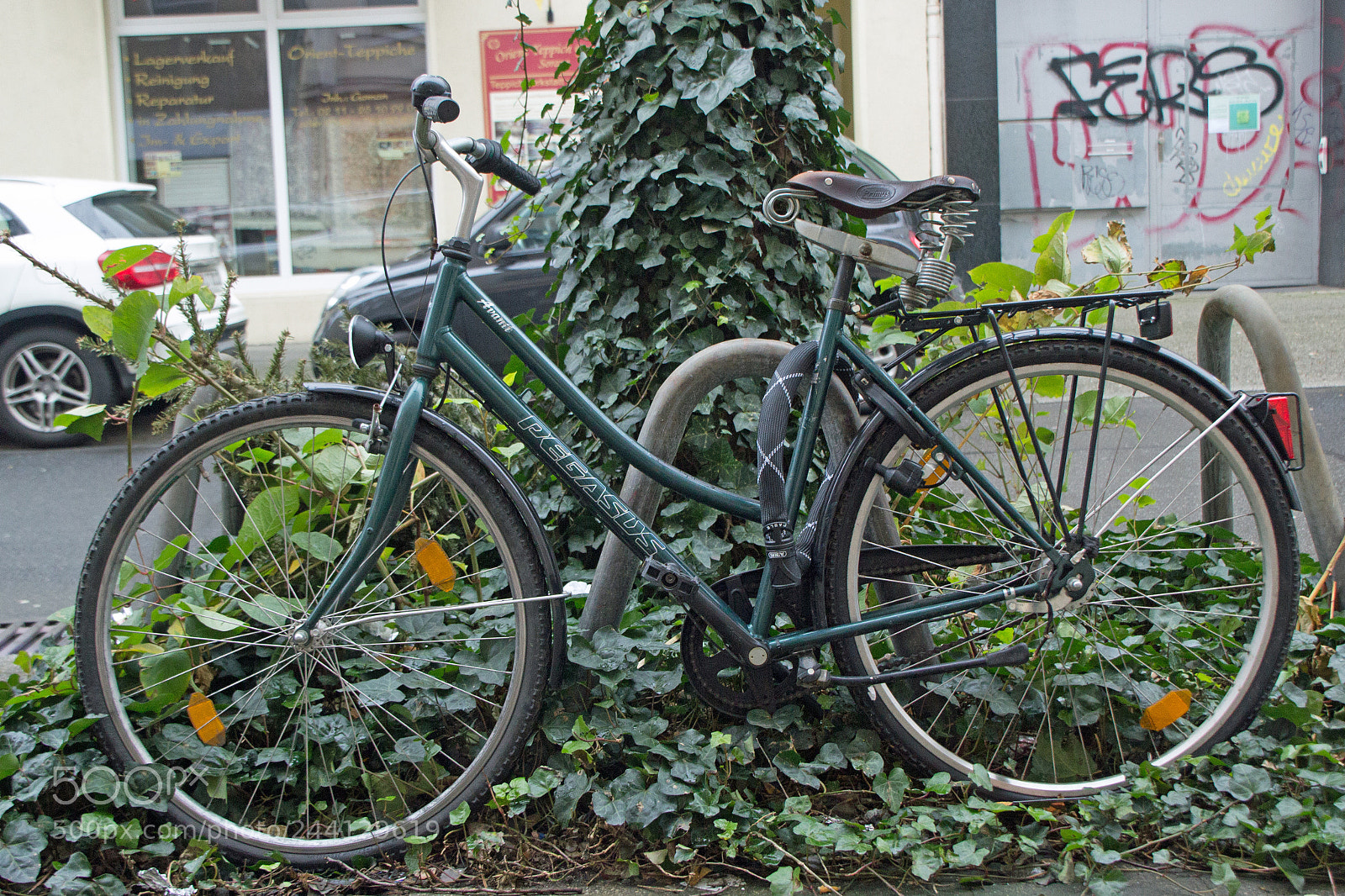 Canon EOS 60D sample photo. Img photography