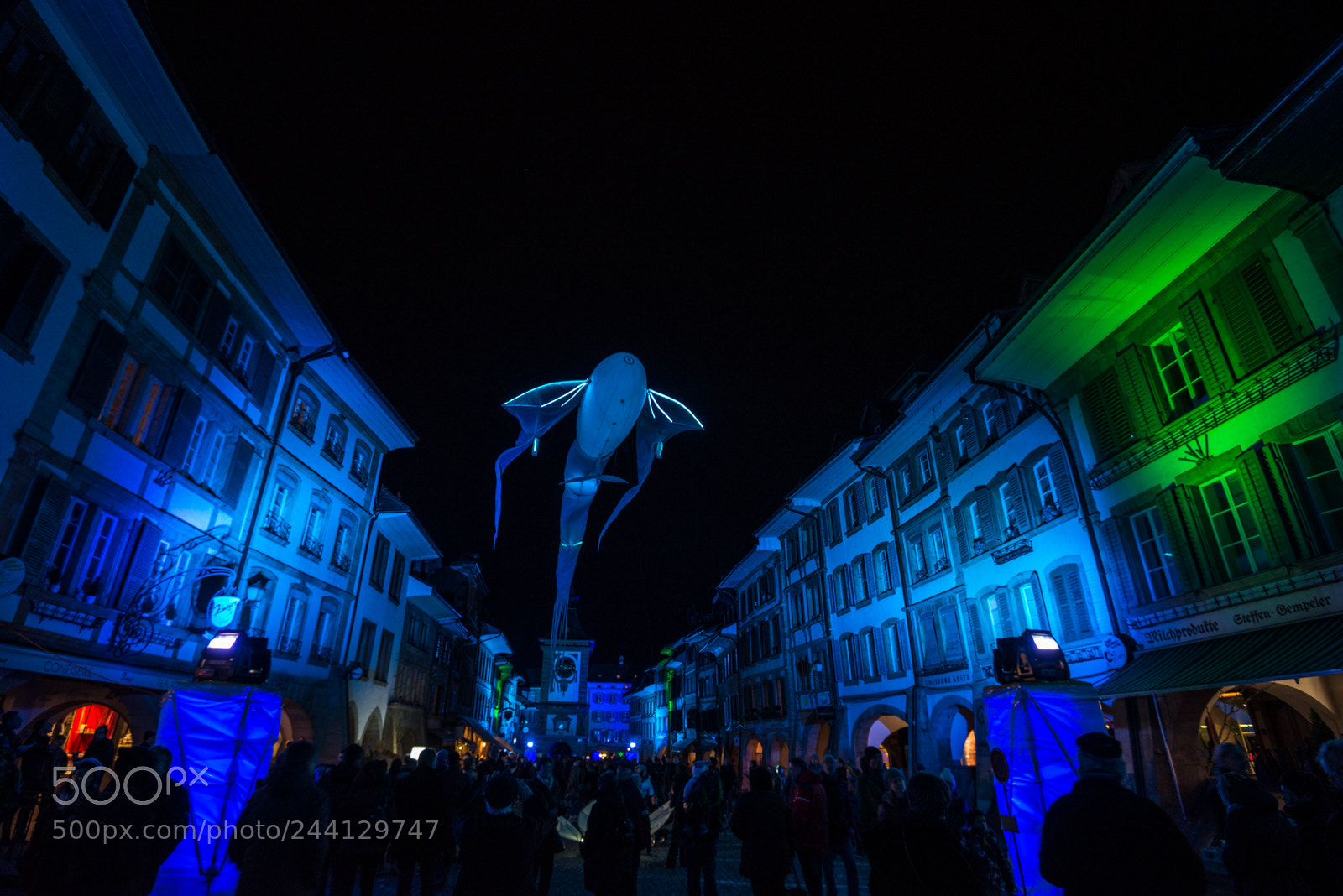 Nikon D600 sample photo. Flying fish photography