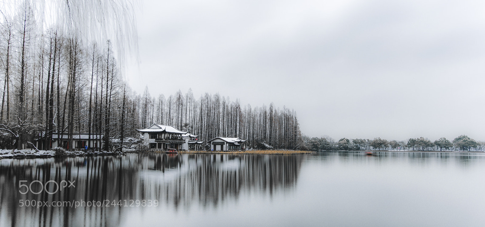 Nikon D810 sample photo. 西湖p photography