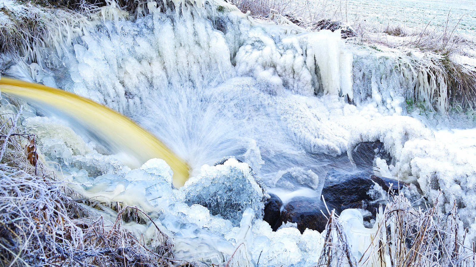 Pentax K-1 sample photo. Frozen photography