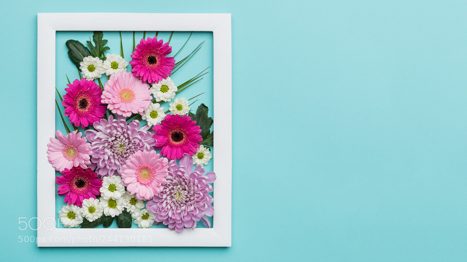 Nikon D810 sample photo. Picture frame filled with photography