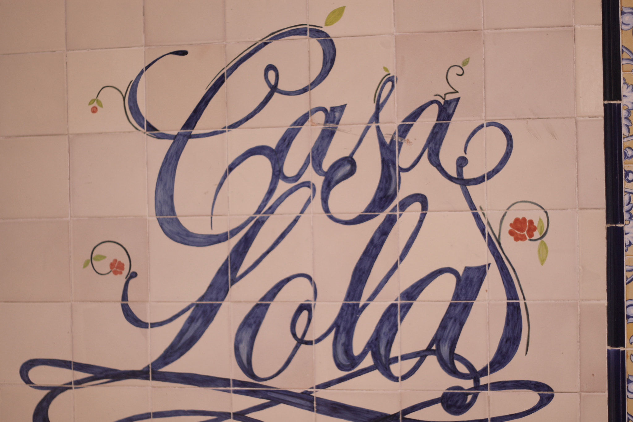 Canon EOS 500D (EOS Rebel T1i / EOS Kiss X3) + Canon EF 50mm f/1.8 sample photo. Spain 2015 photography