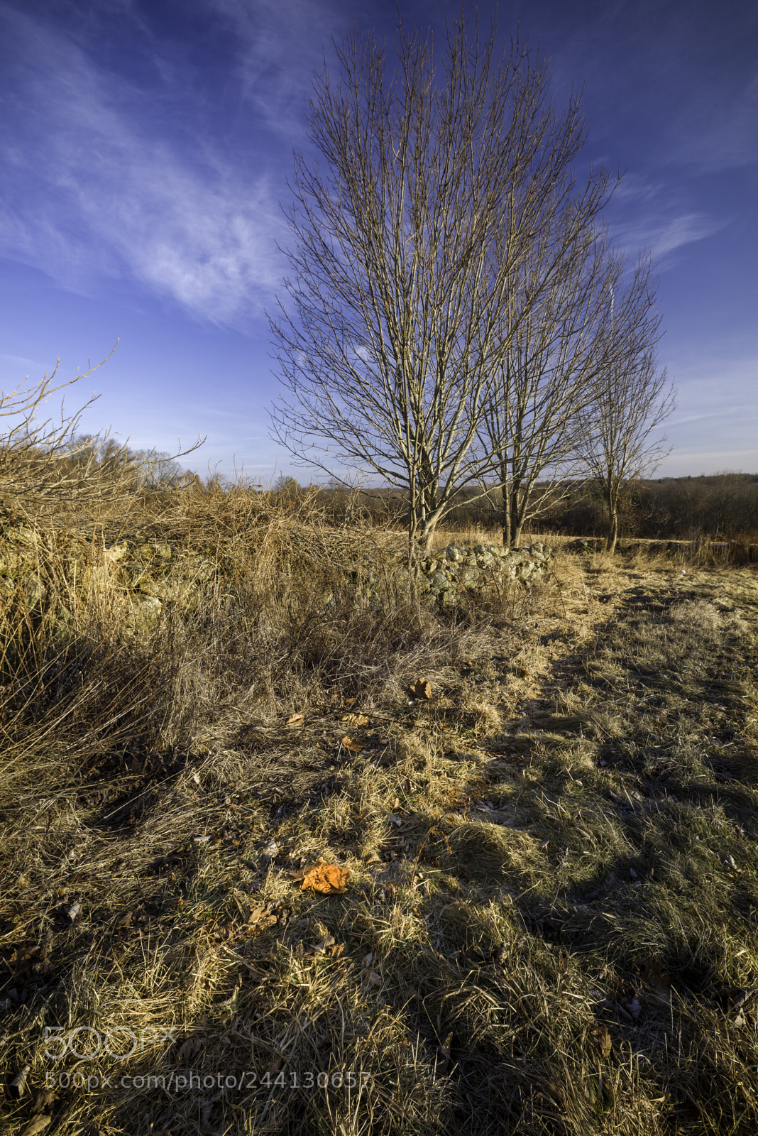 Nikon D610 sample photo. Stone wall and path photography