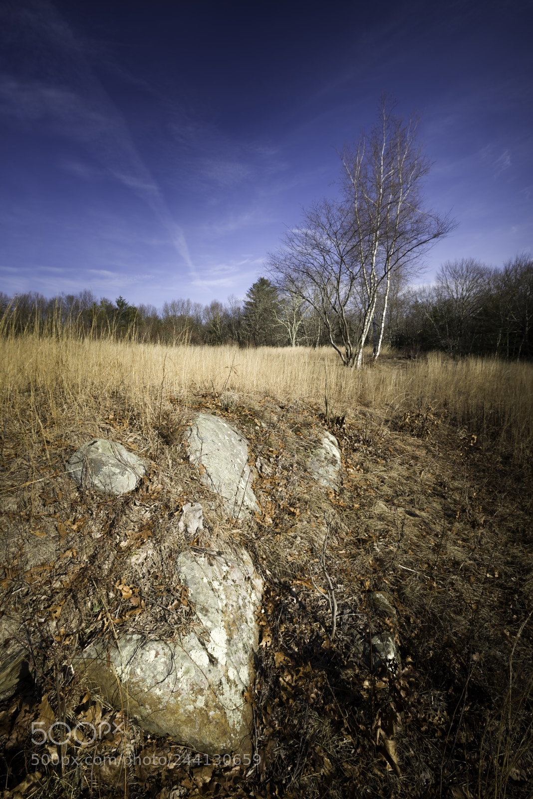 Nikon D610 sample photo. Cormier woods photography