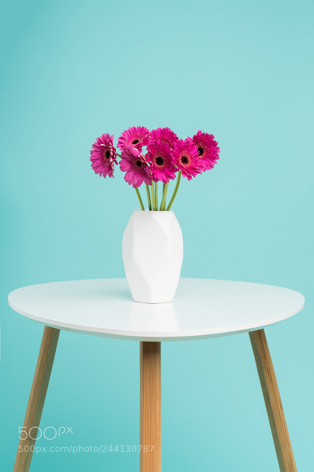 Nikon D810 sample photo. Dark pink gerberas in photography
