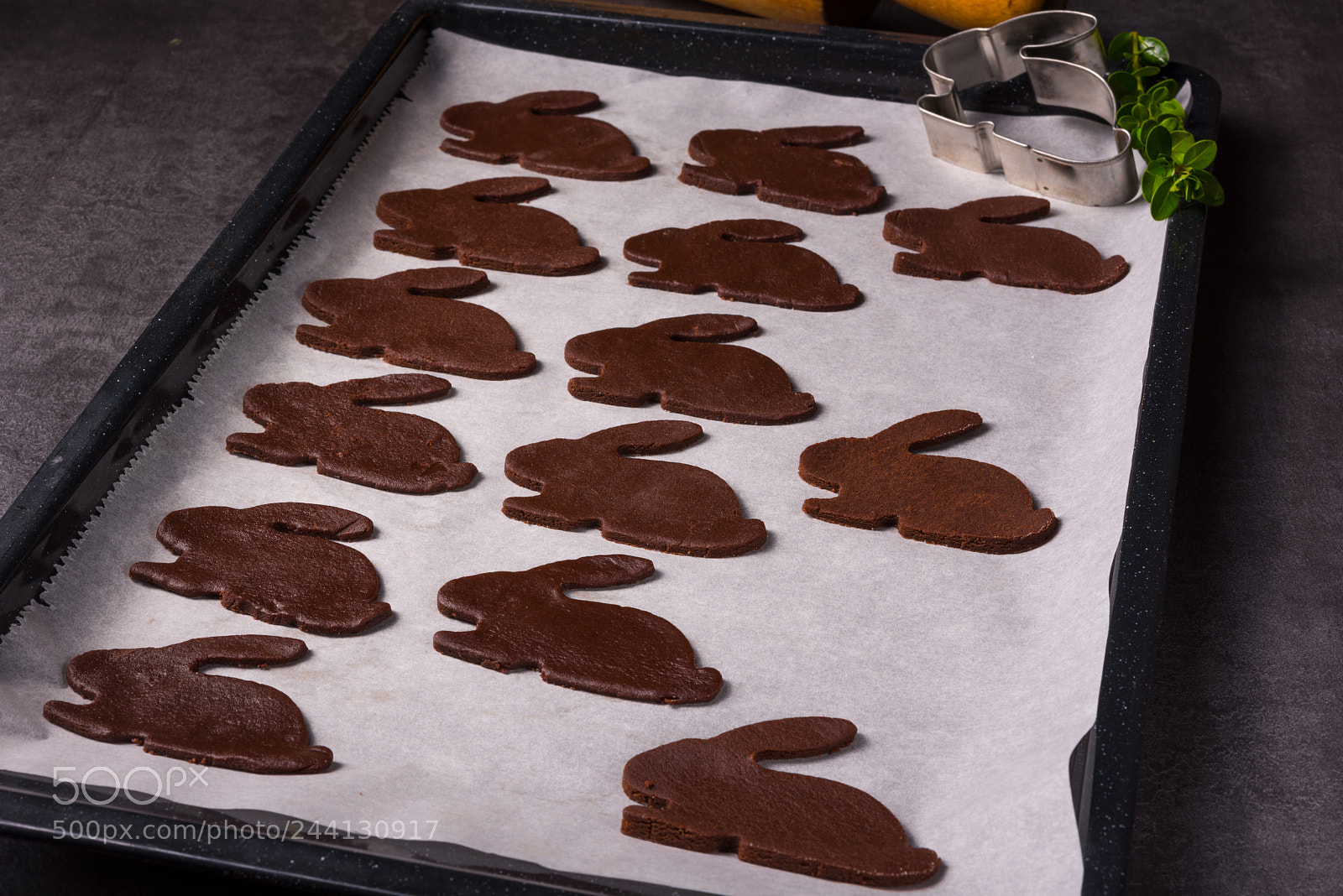 Nikon D810 sample photo. Chocolate rabbits photography