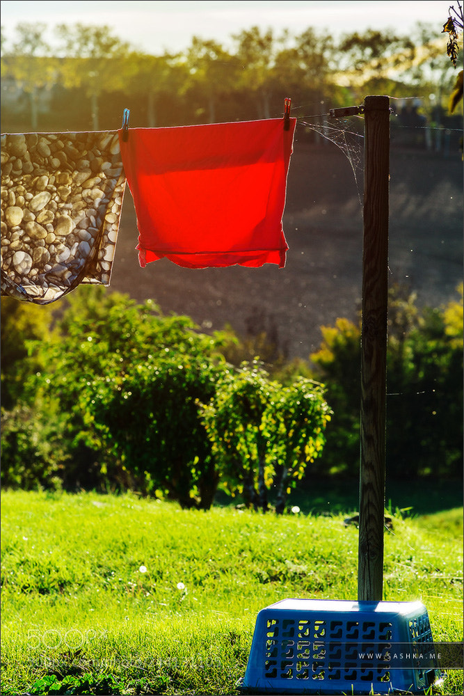 Sony a99 II sample photo. Line of underwear drying photography