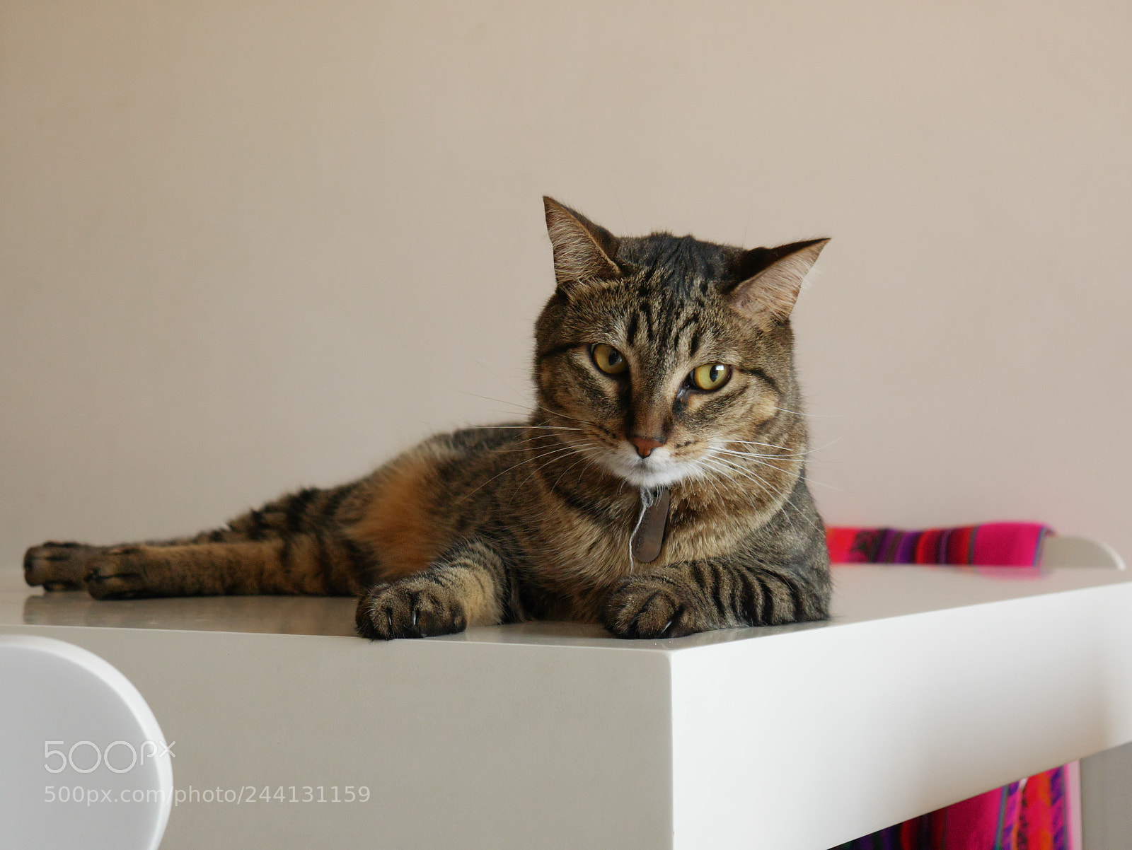 Panasonic Lumix DMC-G7 sample photo. Sofi photography