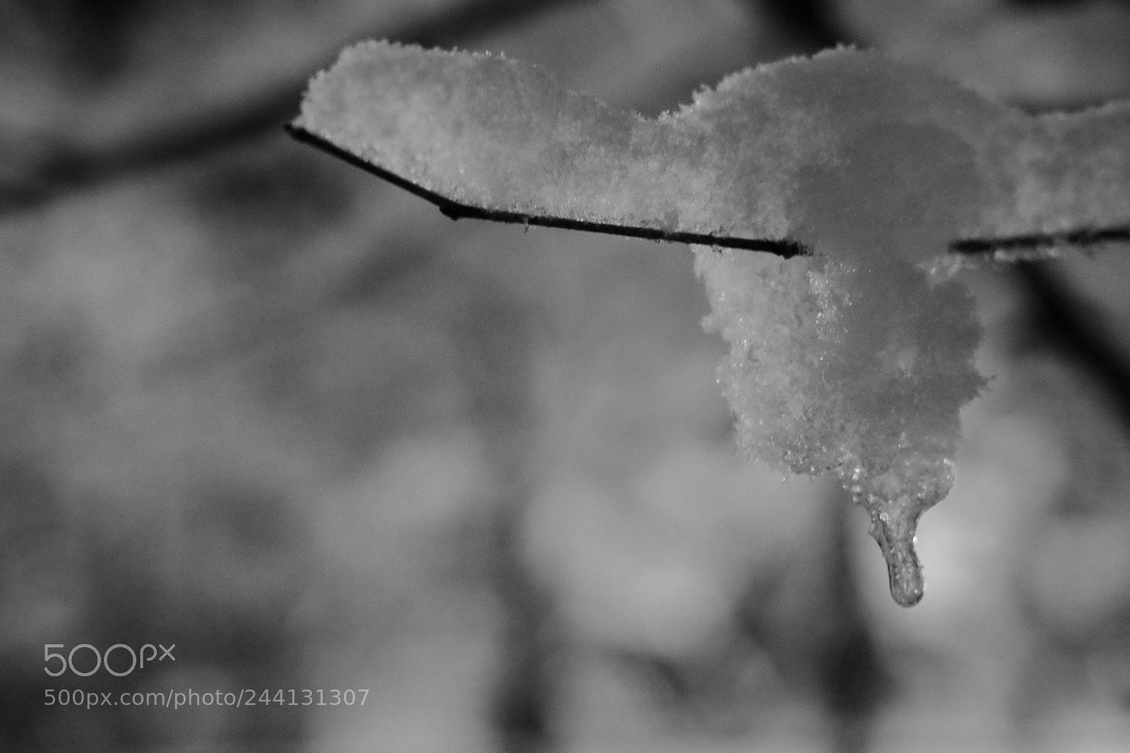 Fujifilm X-T1 sample photo. Untitled photography