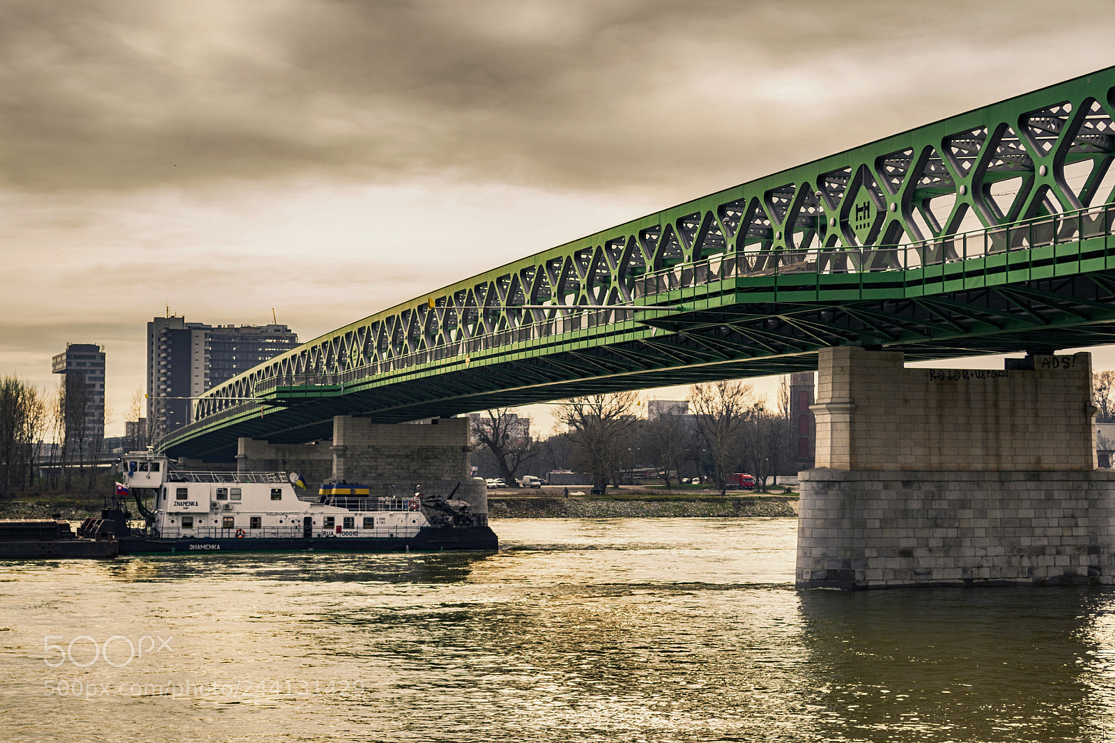 Nikon D3100 sample photo. Ship under the bridge photography