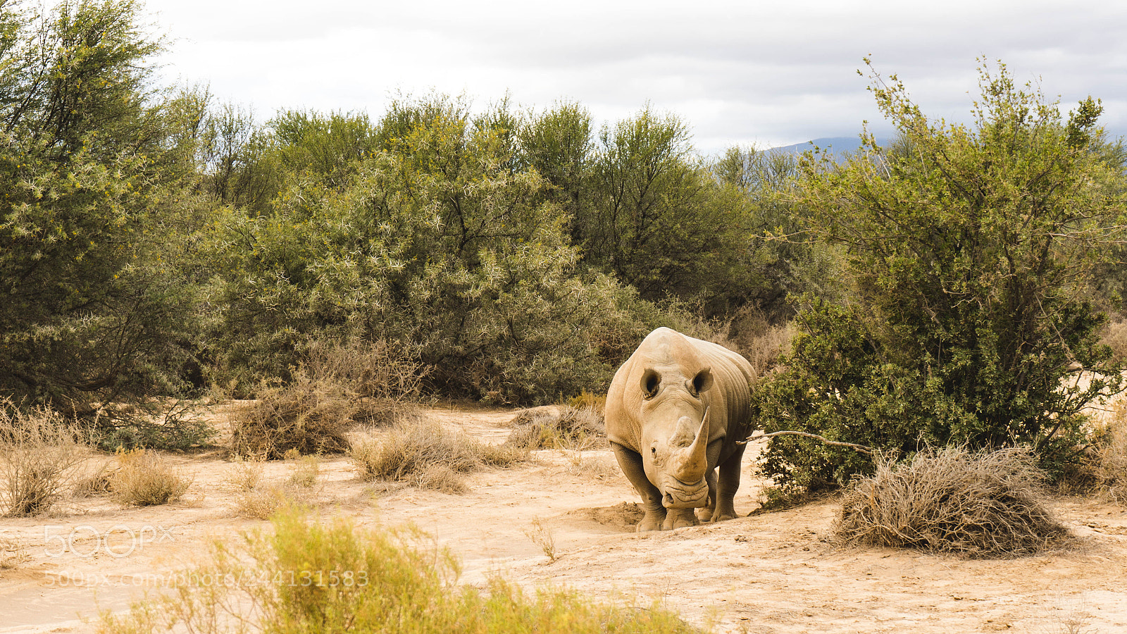 Sony a7 sample photo. South africa photography
