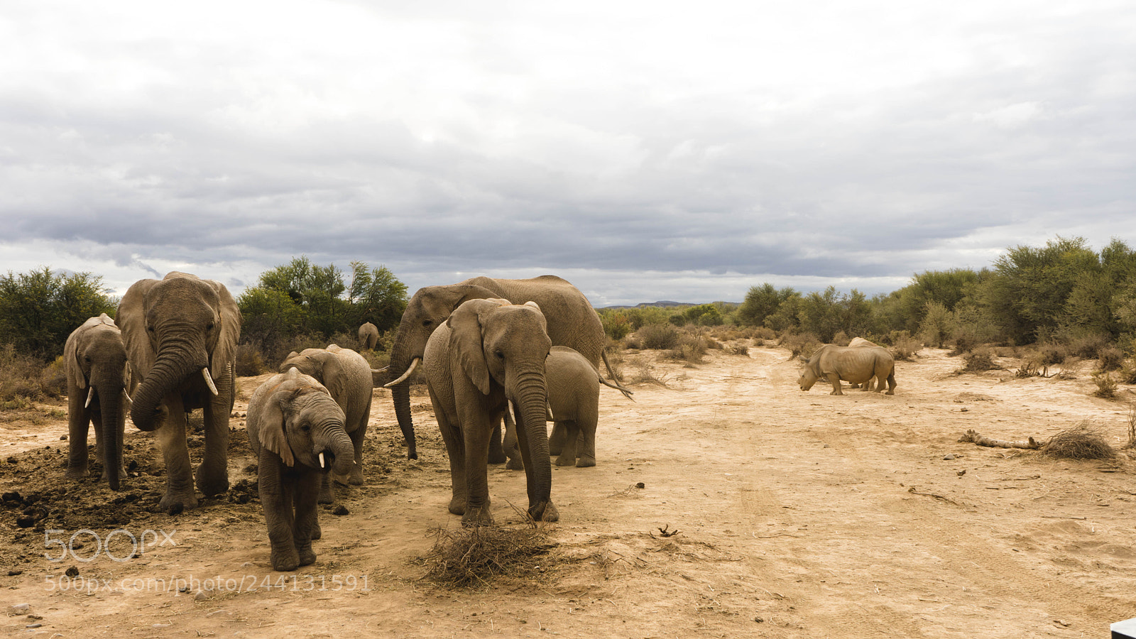 Sony a7 sample photo. South africa photography