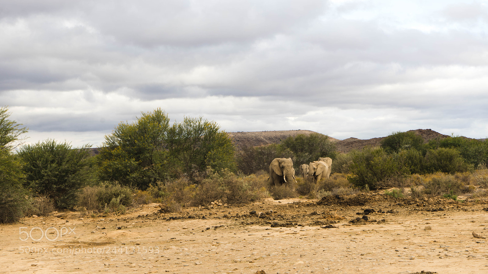 Sony a7 sample photo. South africa photography
