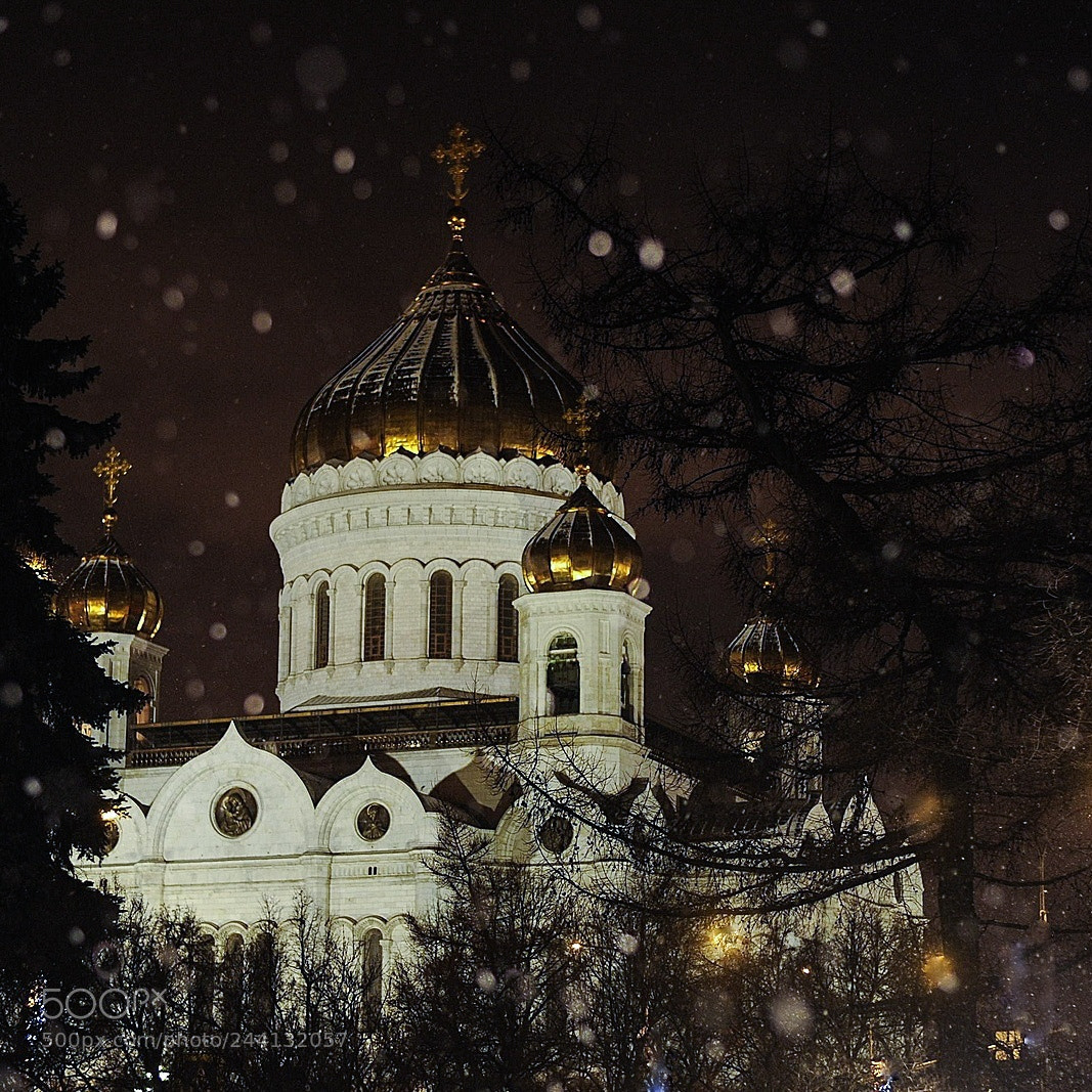 Nikon D700 sample photo. Snowing photography