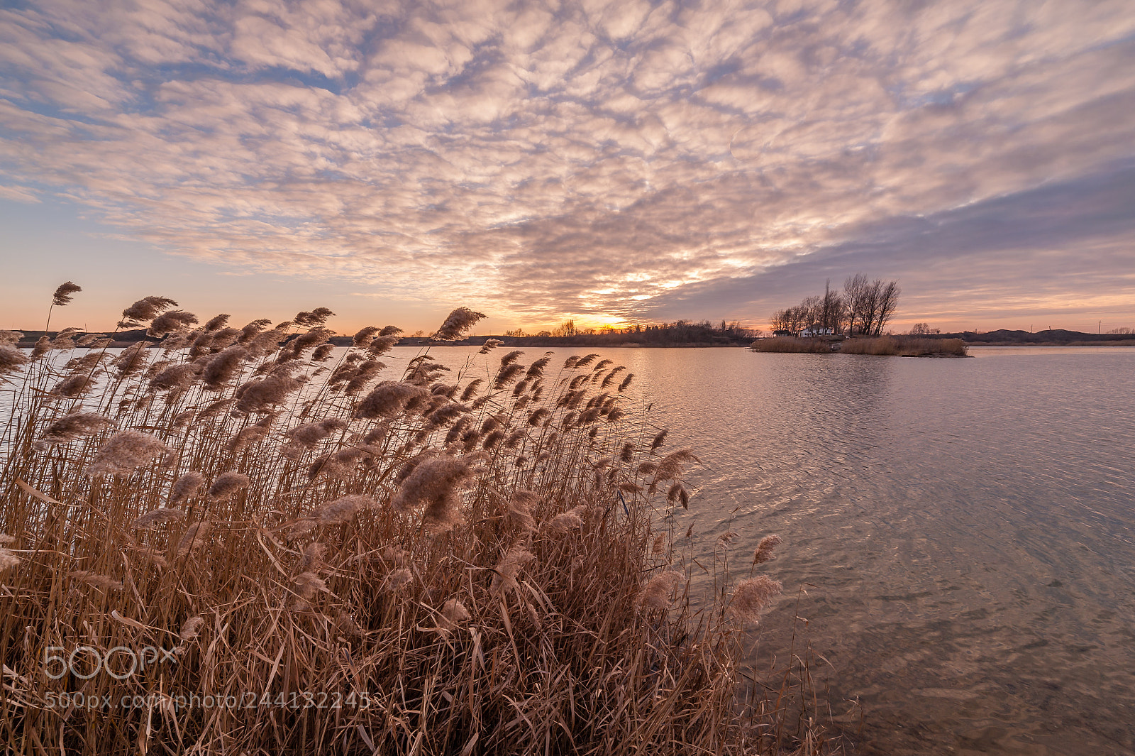Nikon D700 sample photo. @ sunset iv photography