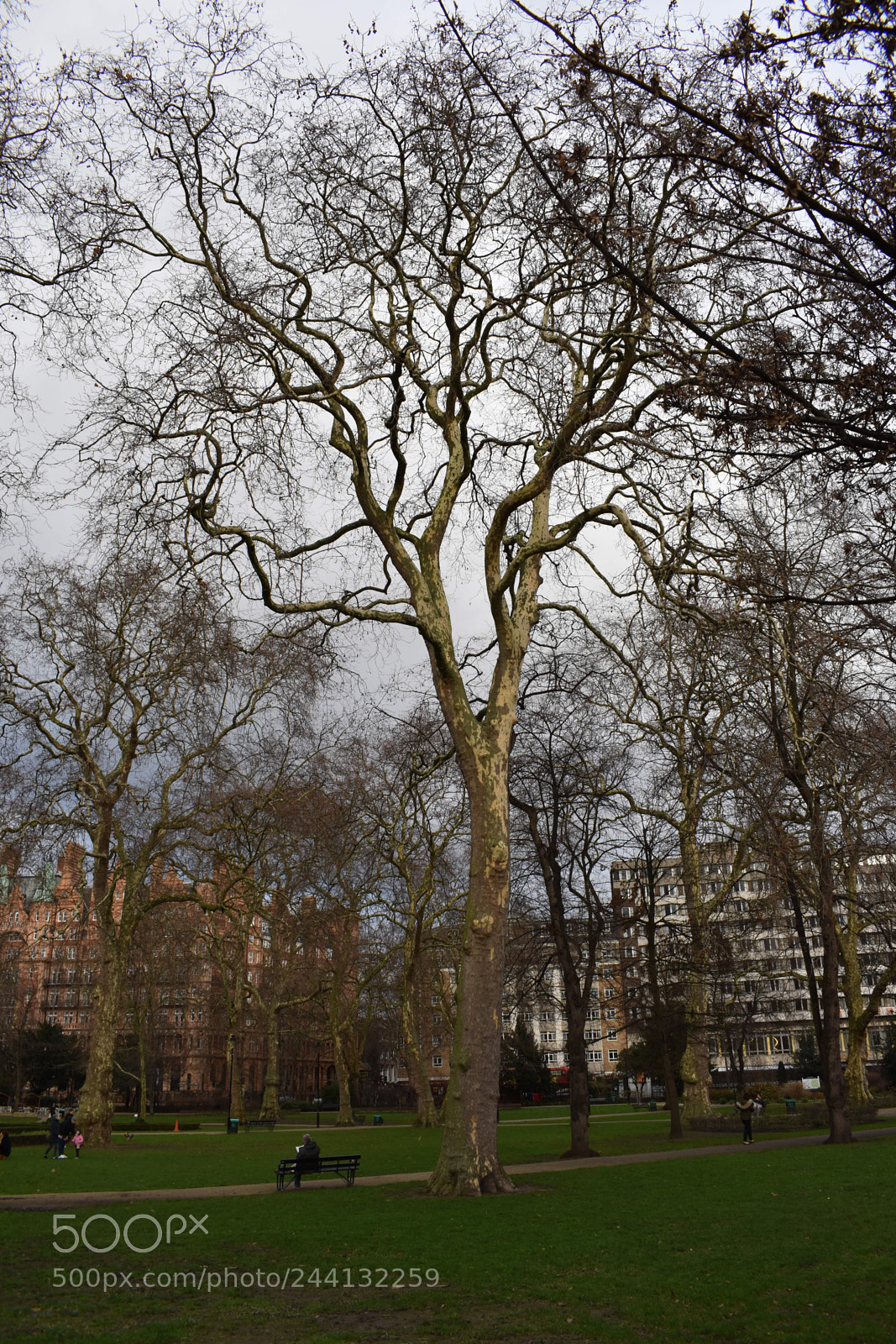 Nikon D3400 sample photo. Russel square photography
