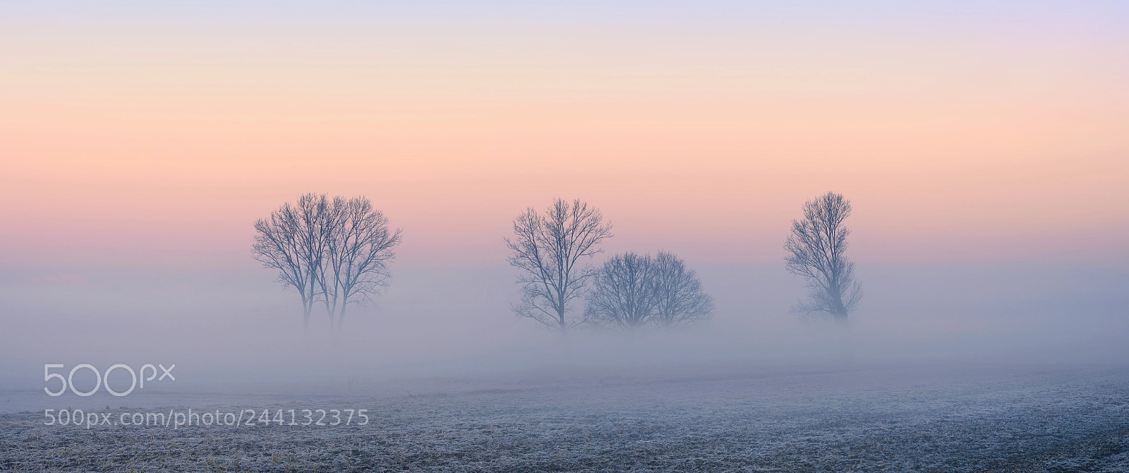 Nikon D7200 sample photo. Misty morning photography