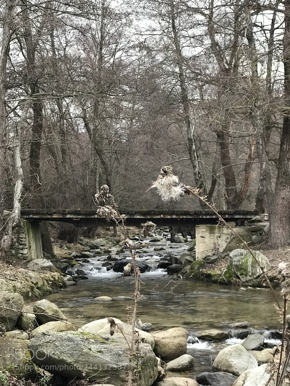Apple iPhone 7 Plus sample photo. River inspiration photography