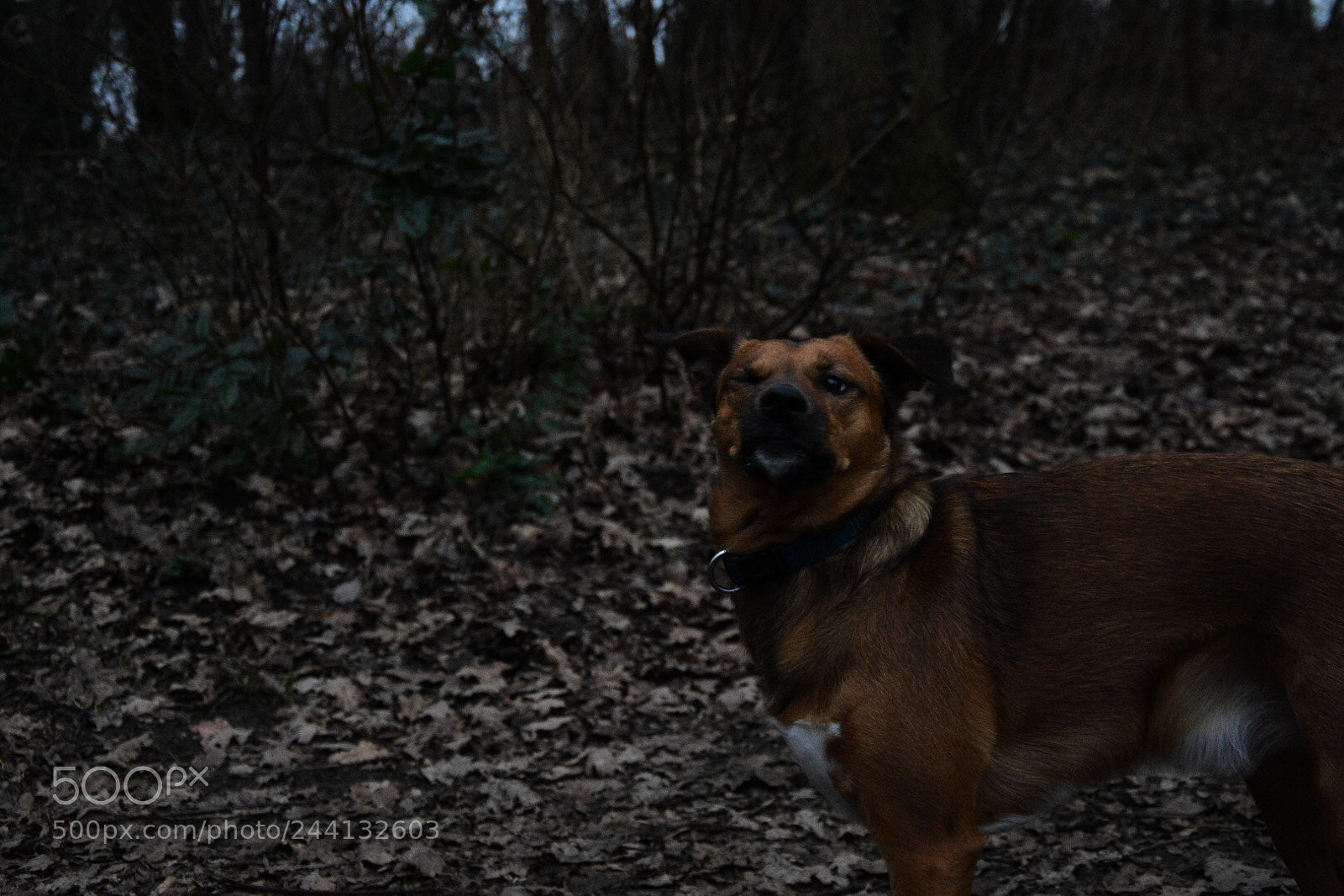 Nikon D7200 sample photo. Try to catching a photography