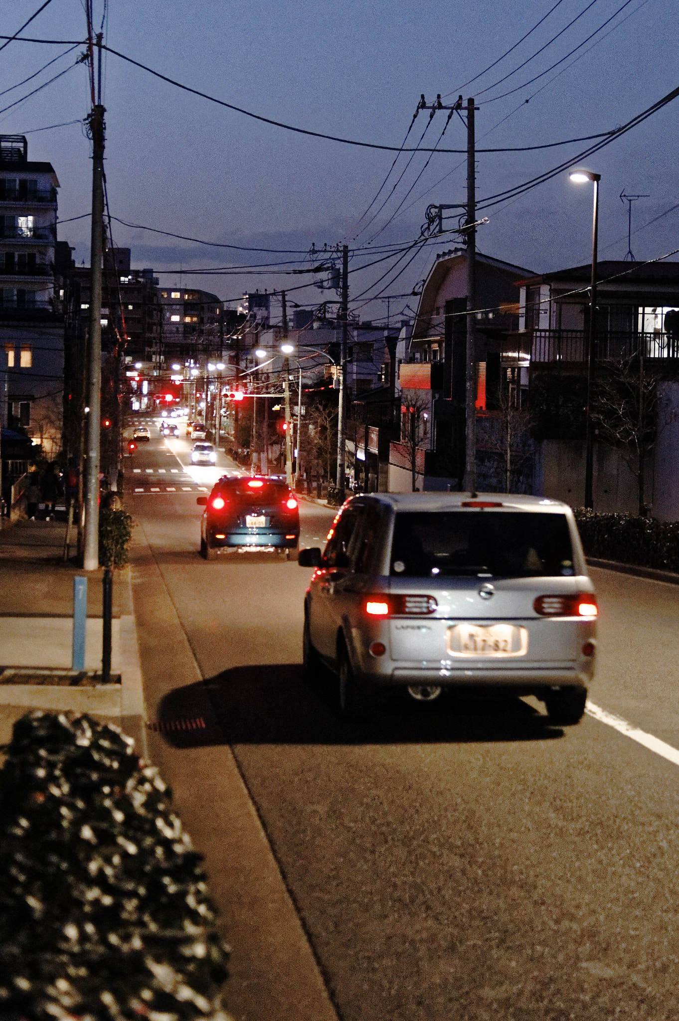 Pentax K-3 II sample photo