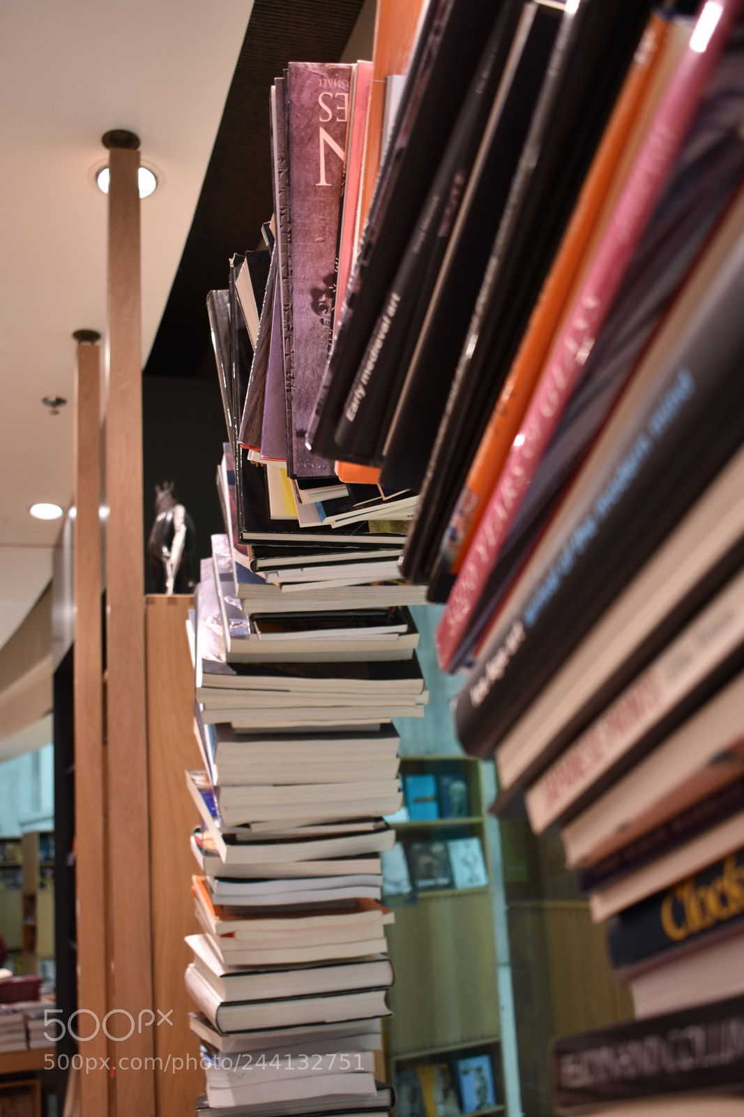 Nikon D3400 sample photo. Book circle photography