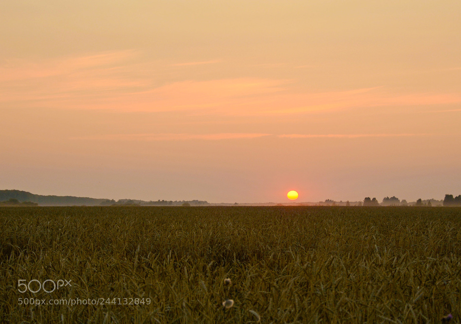 Nikon D7100 sample photo. Sunset in siberia photography