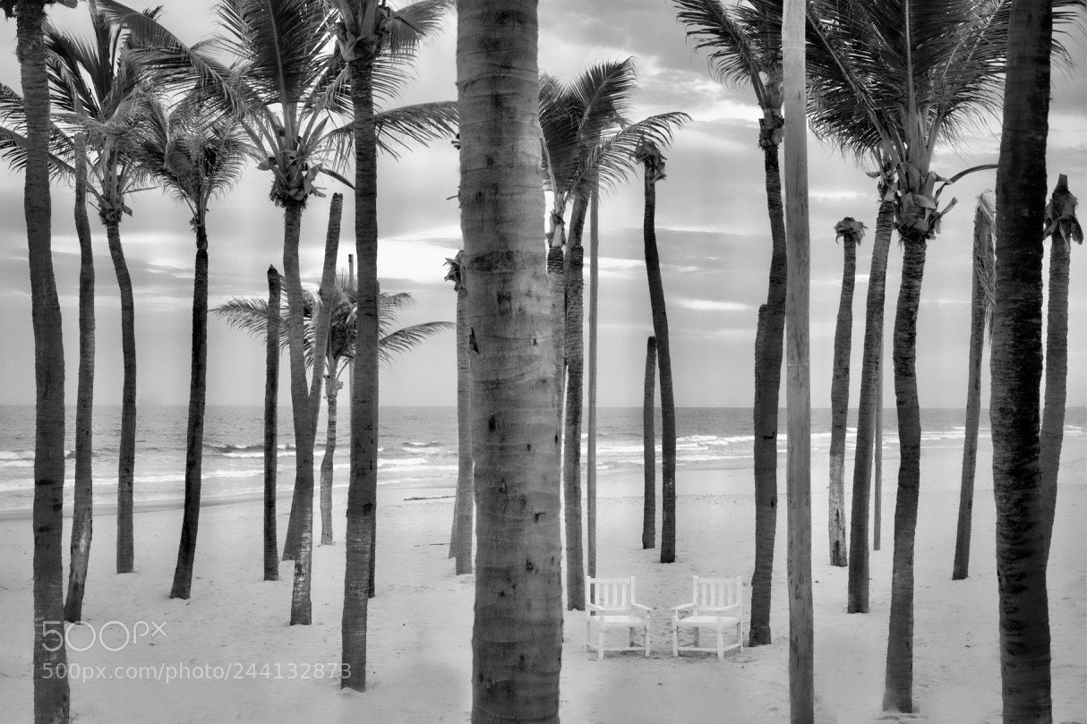 Sony a7 II sample photo. Os cadeiras photography