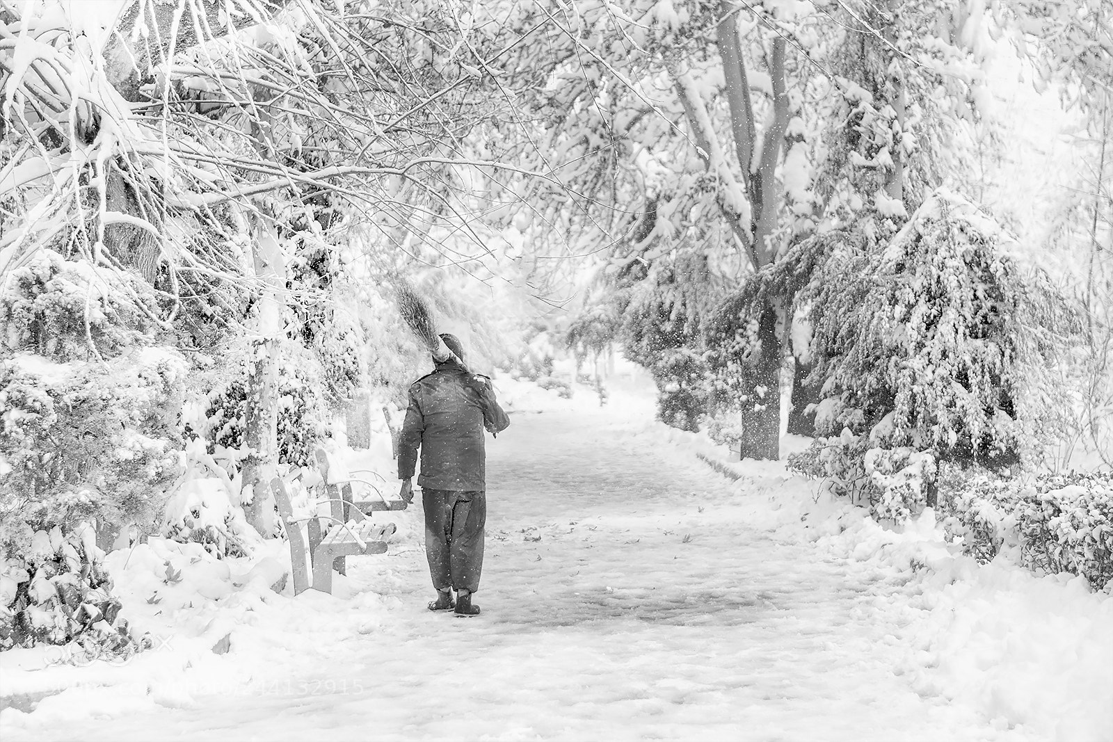 Nikon D7100 sample photo. A snow day photography