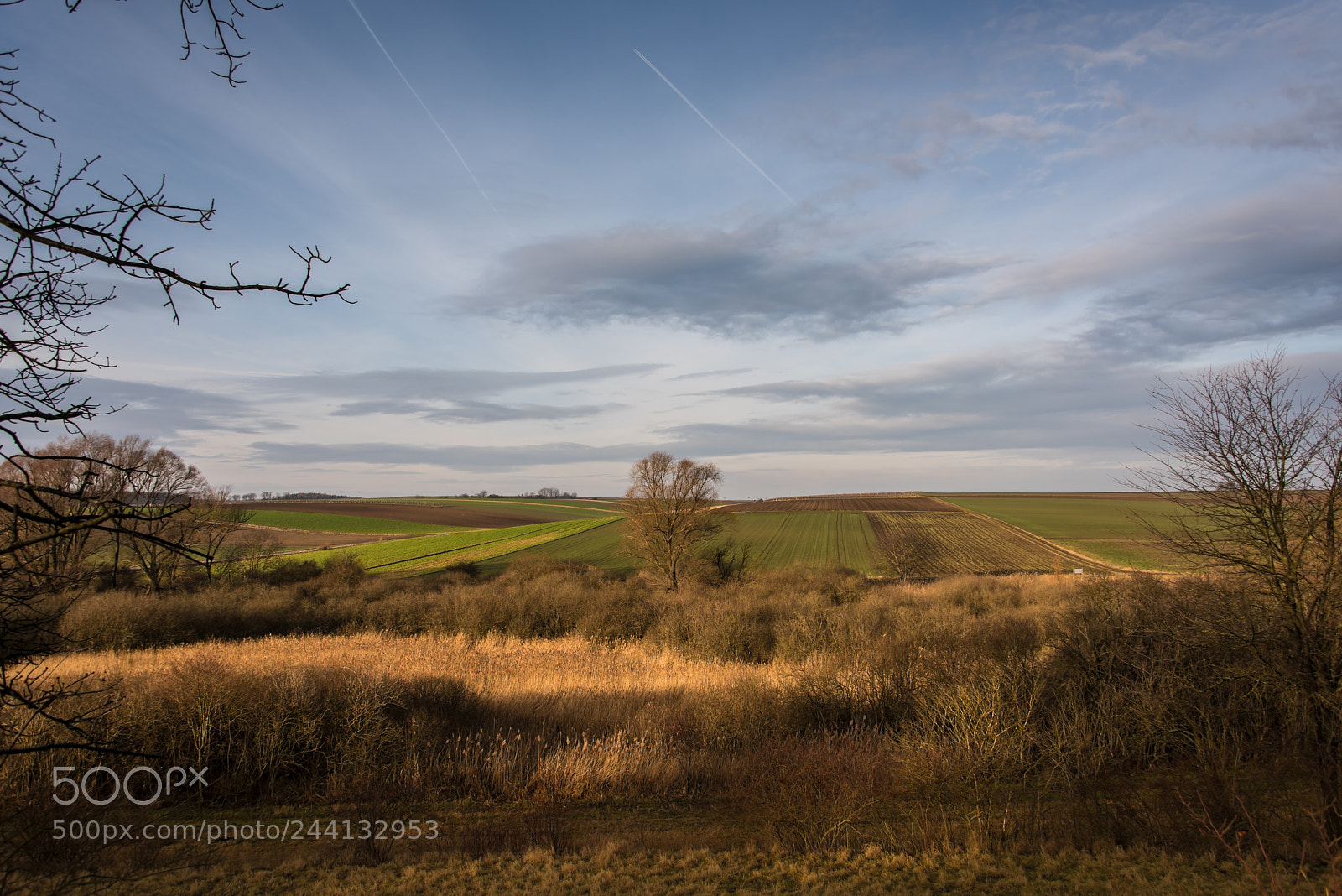 Nikon D810 sample photo. Pranhartsberg in the morning photography