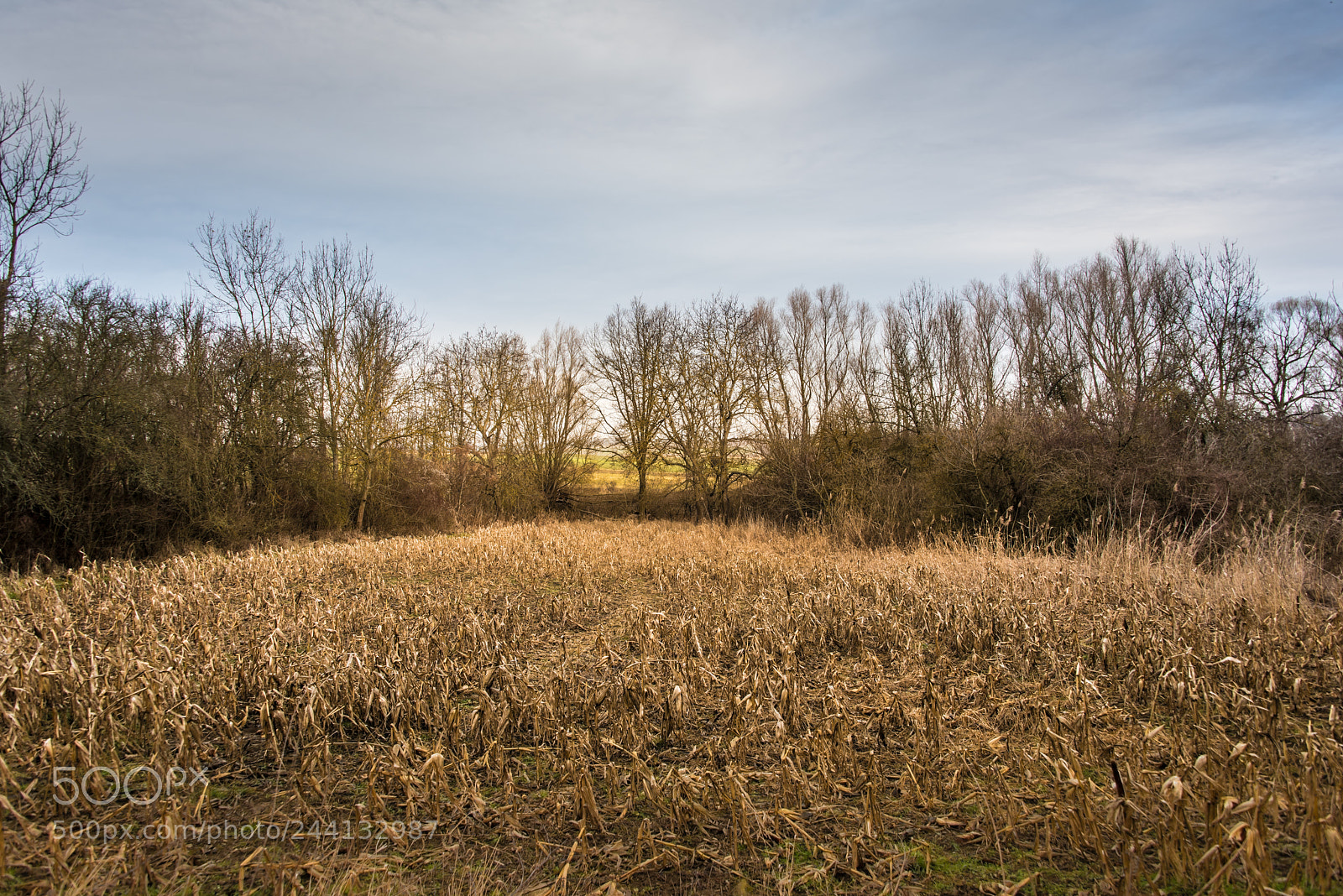 Nikon D810 sample photo. Pranhartsberg in the morning photography