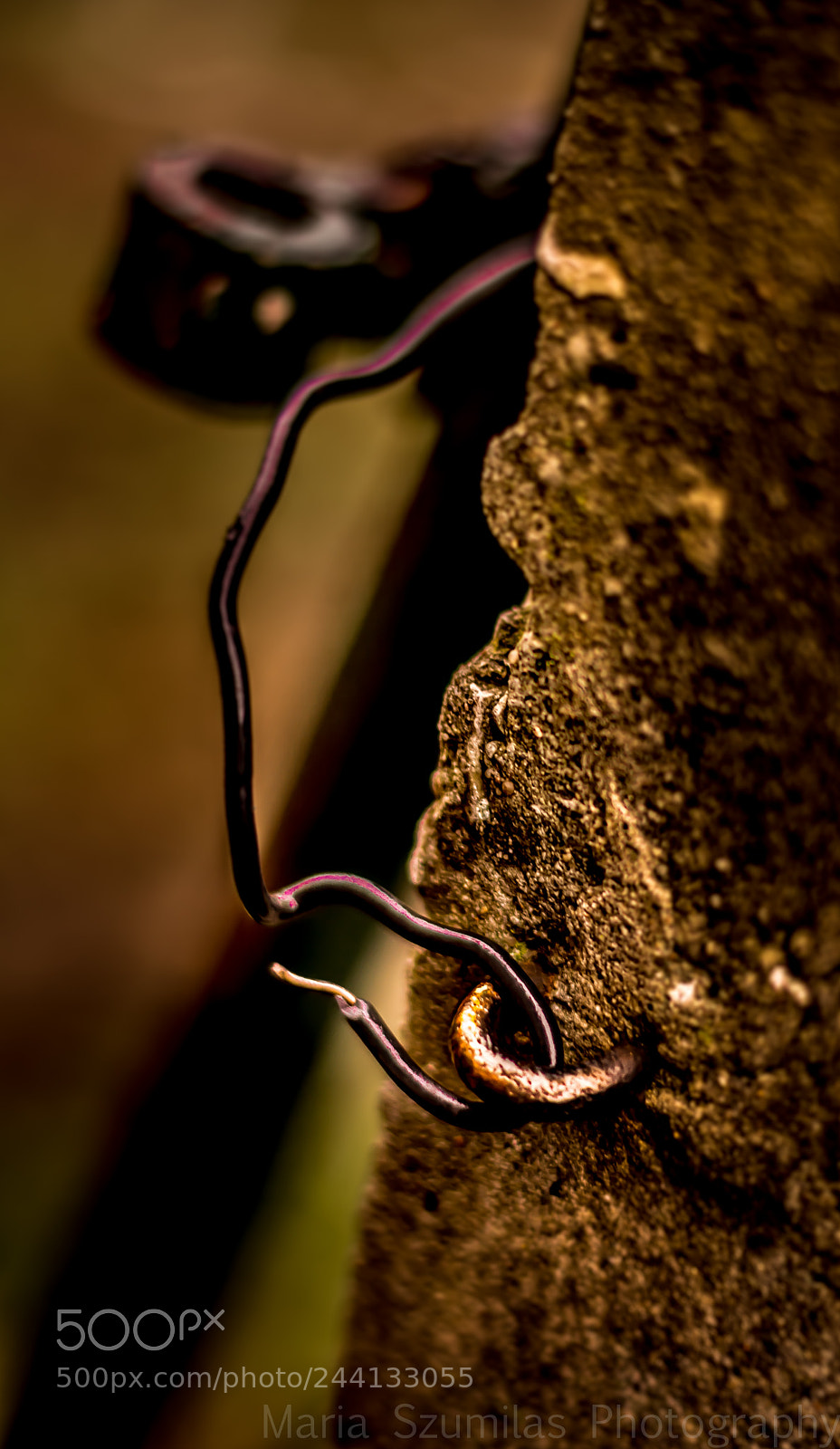 Nikon D7100 sample photo. I am not giving photography