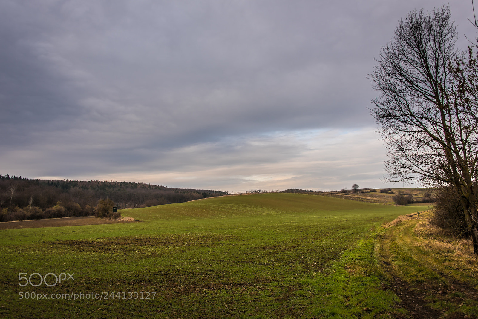Nikon D810 sample photo. Pranhartsberg in the morning photography