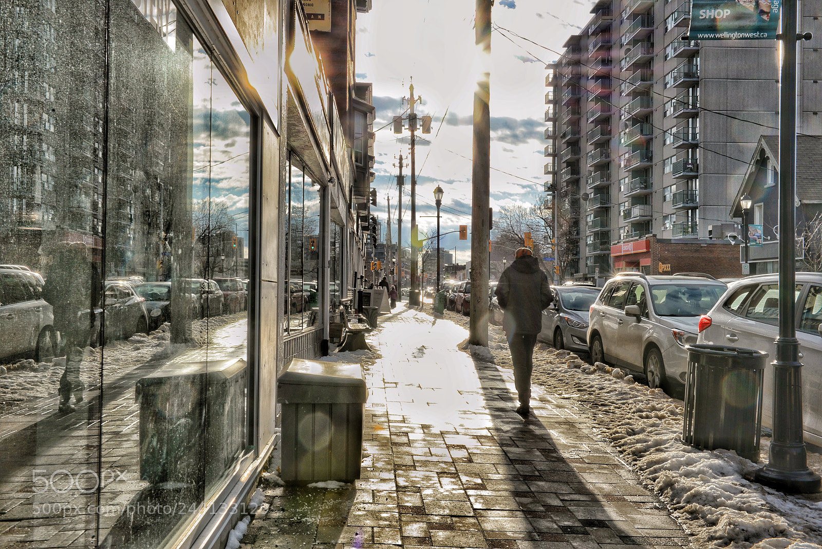 Nikon D610 sample photo. Looking west on wellington photography