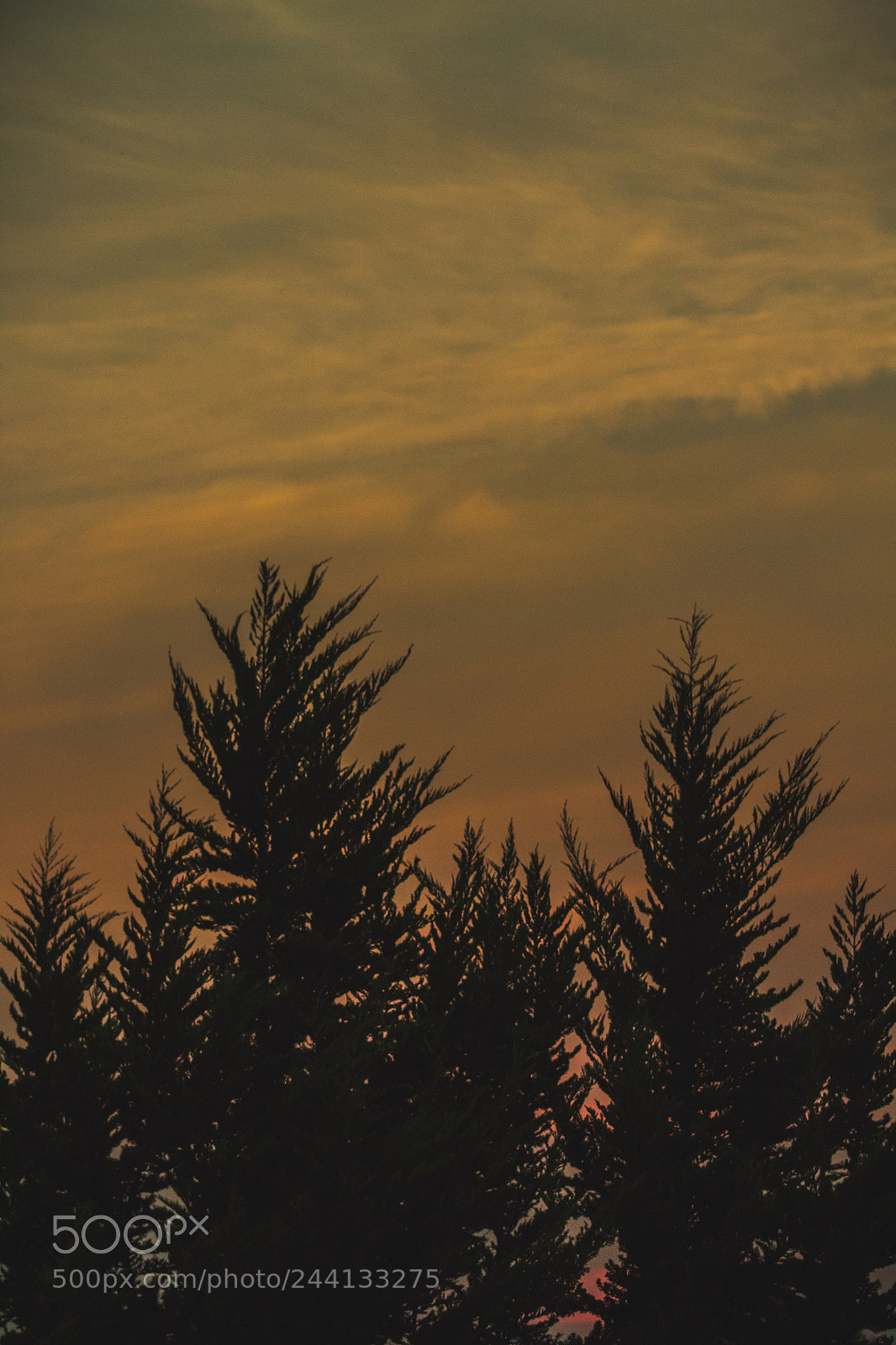 Canon EOS 1200D (EOS Rebel T5 / EOS Kiss X70 / EOS Hi) sample photo. The last two sunsets... photography