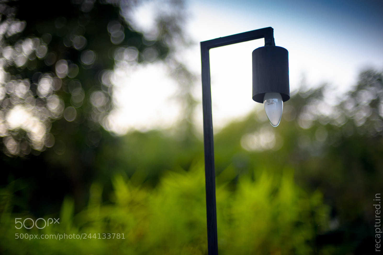Nikon Df sample photo. The light photography