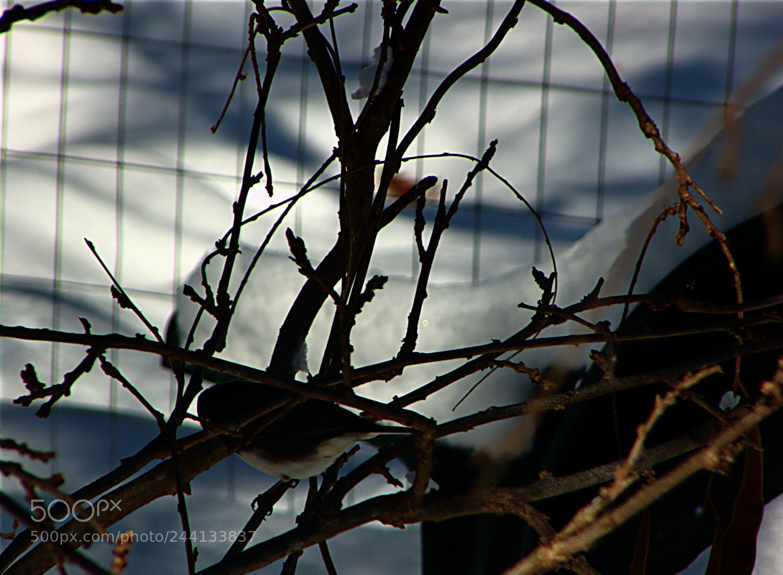 Panasonic DMC-FZ18 sample photo. 3a3 39f 4bd b97 photography
